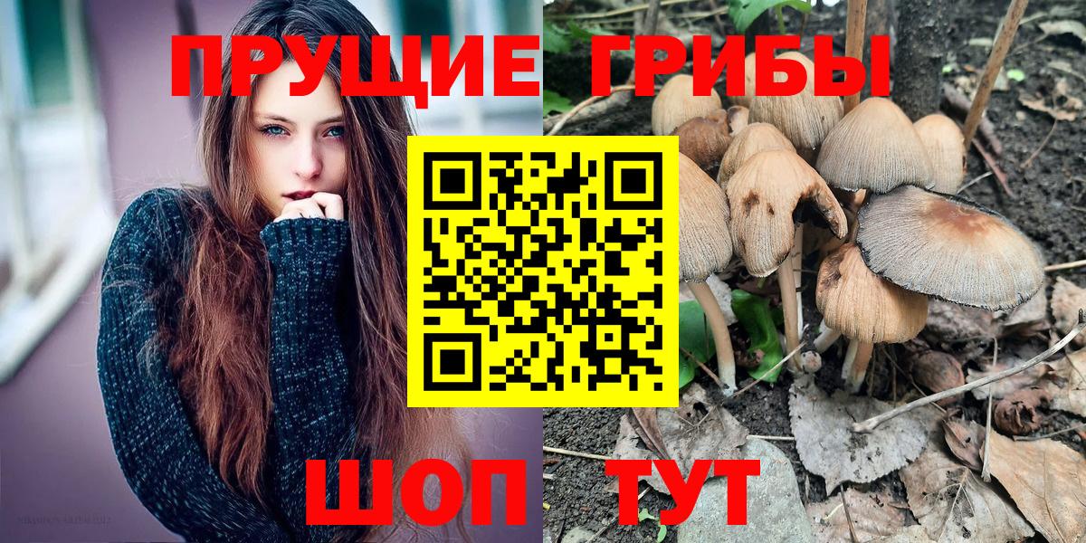 Псилоцибиновые грибы Psilocybine cubensis  Вход с VPN  Курчатов 