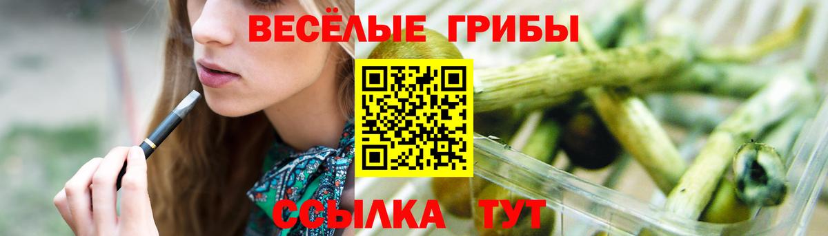 Галлюциногенные грибы прущие грибы Курчатов